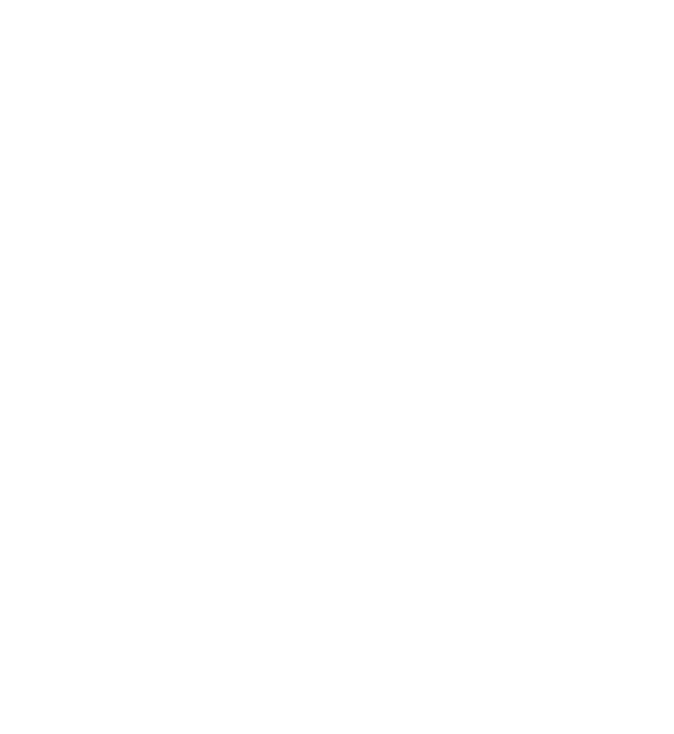 ivext_logo_white